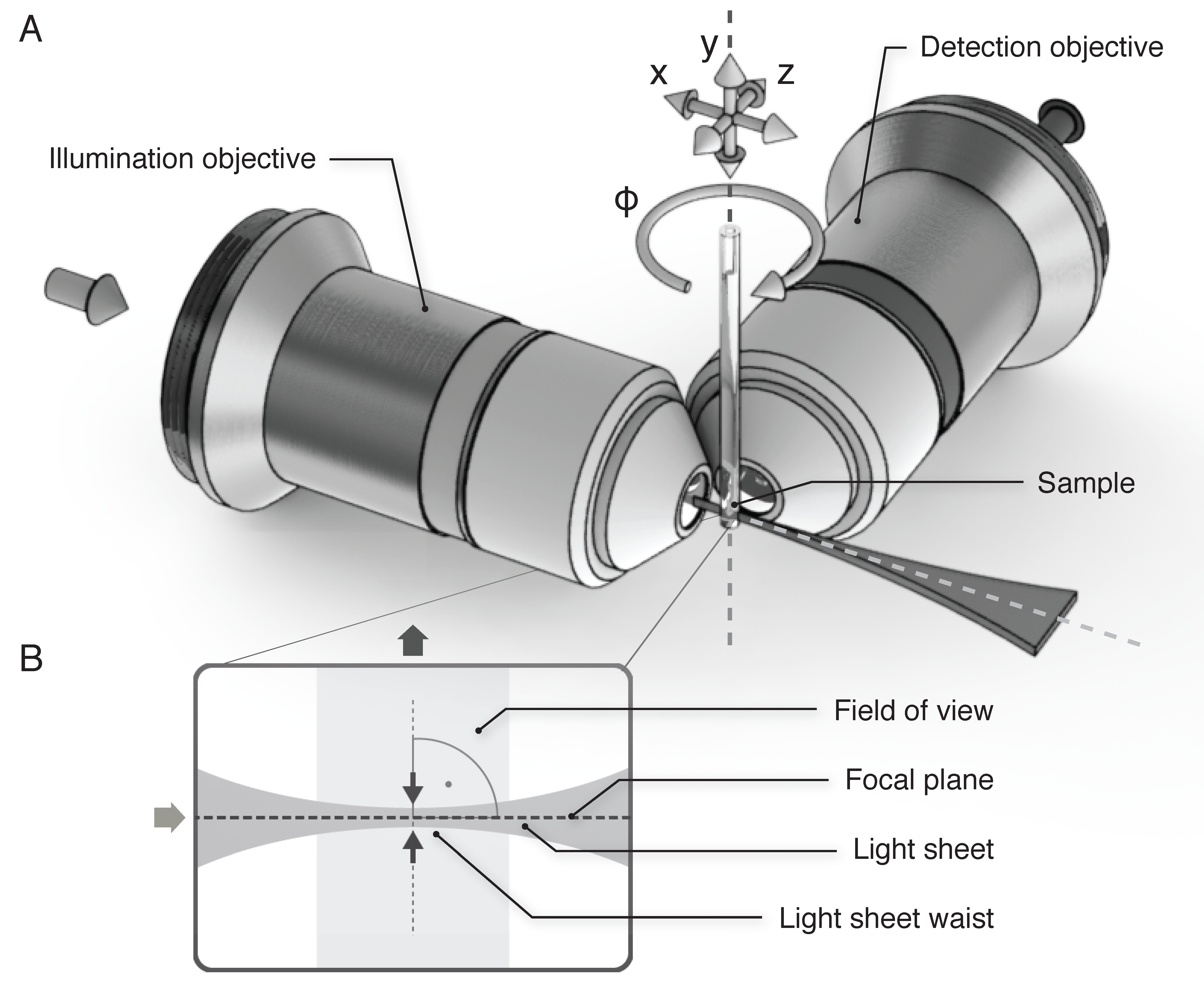 lightsheet_mcbfig2 – Huisken Lab