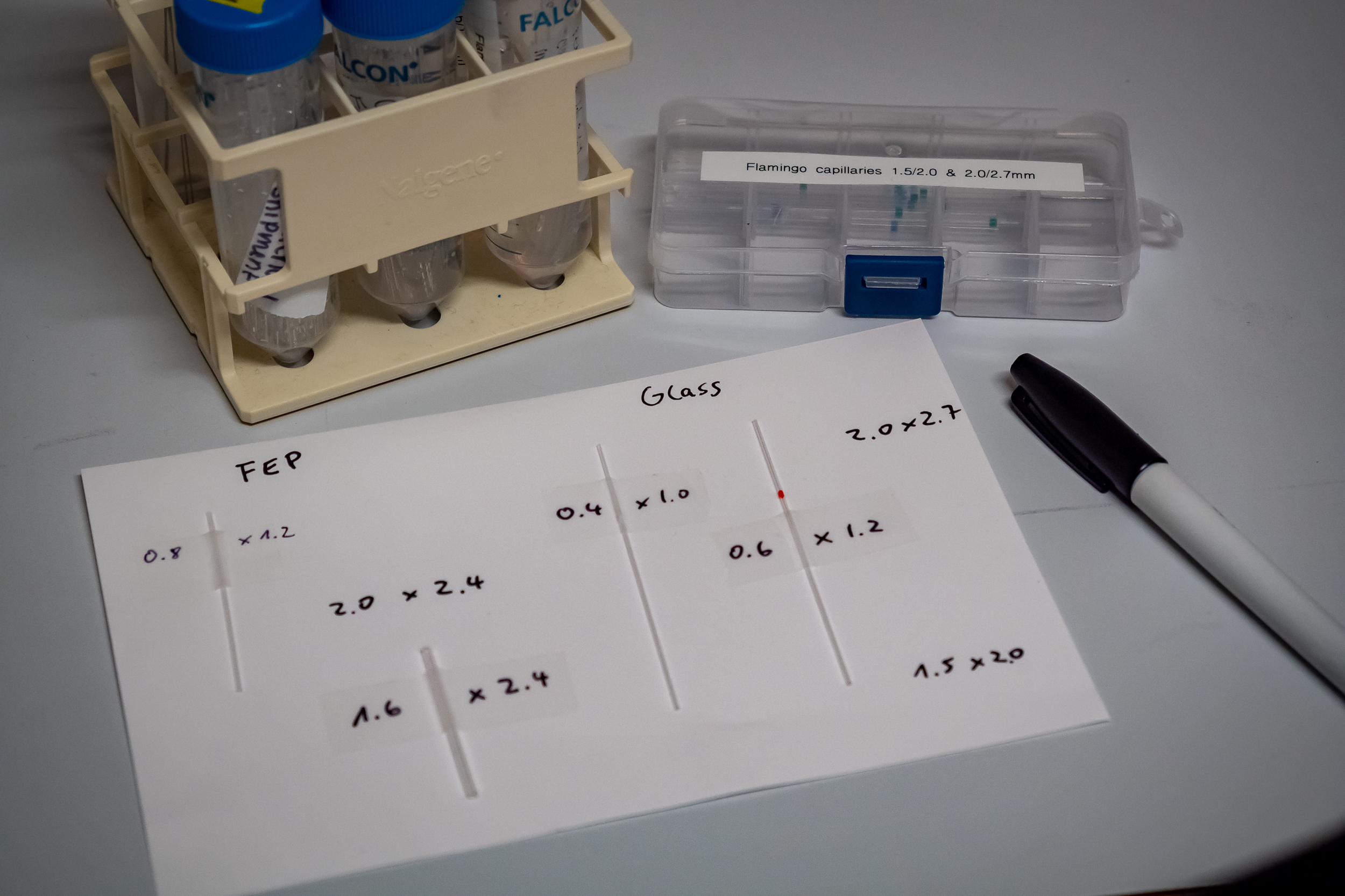 Sample mounting – Huisken Lab